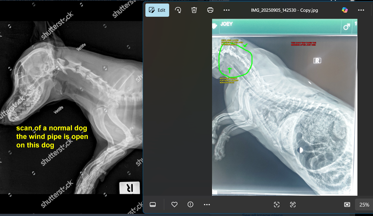 Comparison scan