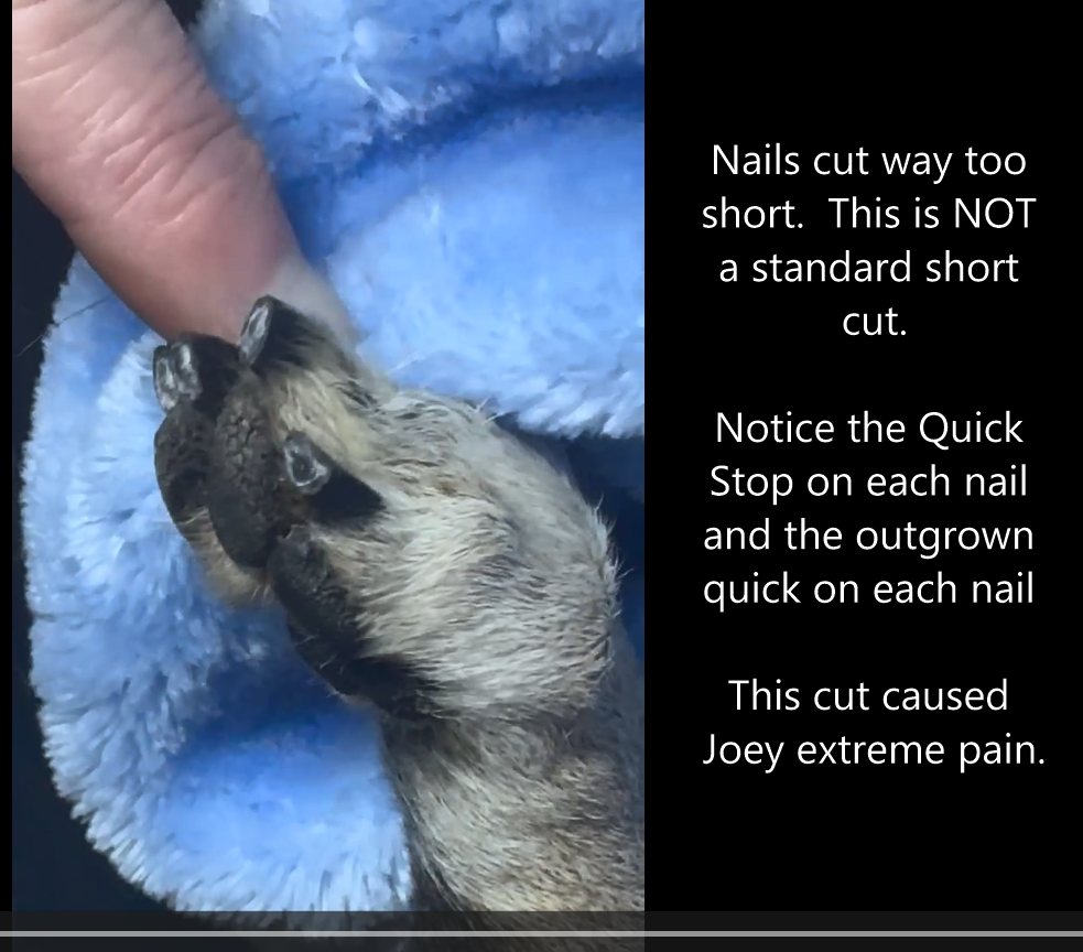 Comparison nail-length image