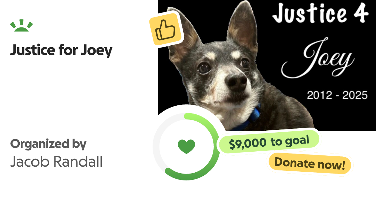 Justice 4 Joey GoFundMe campaign poster