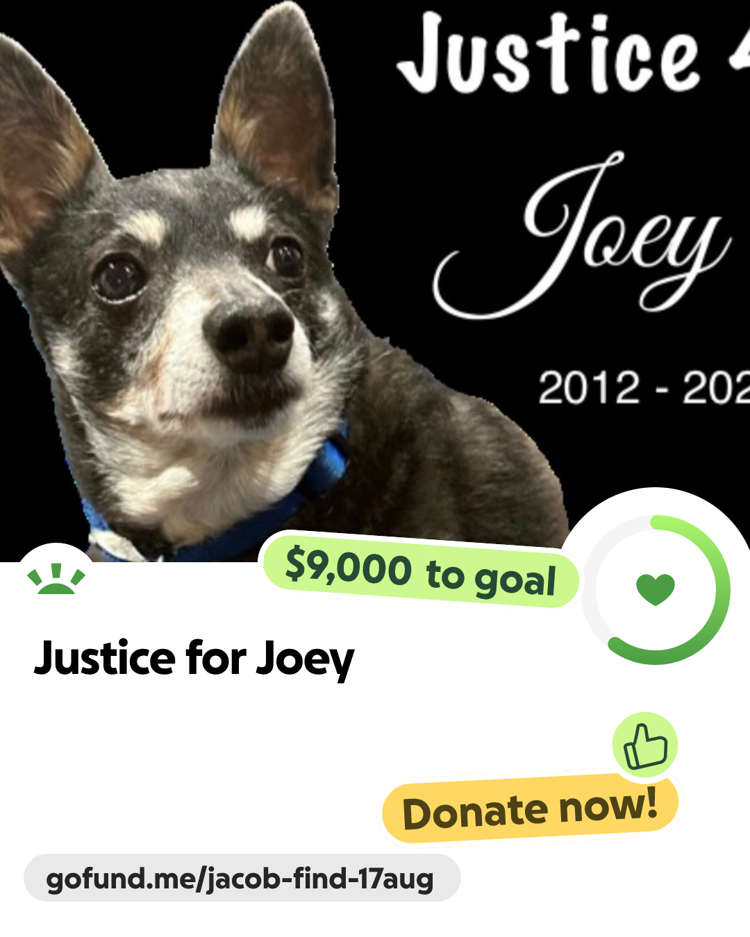 Tall Justice 4 Joey GoFundMe poster