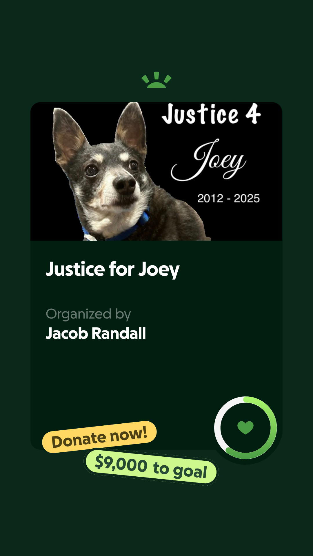 Vertical Justice 4 Joey GoFundMe poster
